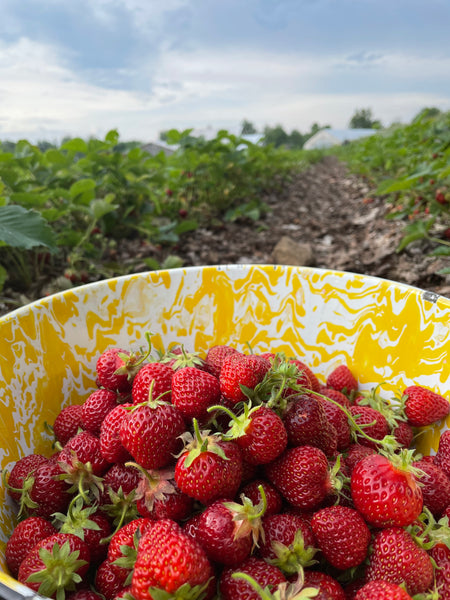 Strawberries