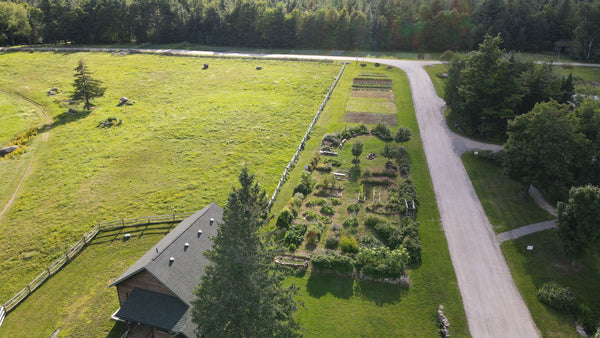 Grafting Workshop at The North Country School