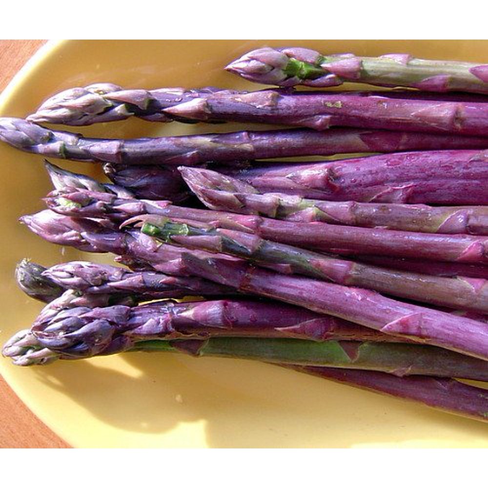 Purple Passion Asparagus